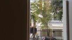 Janelas Basculantes e pivoltante